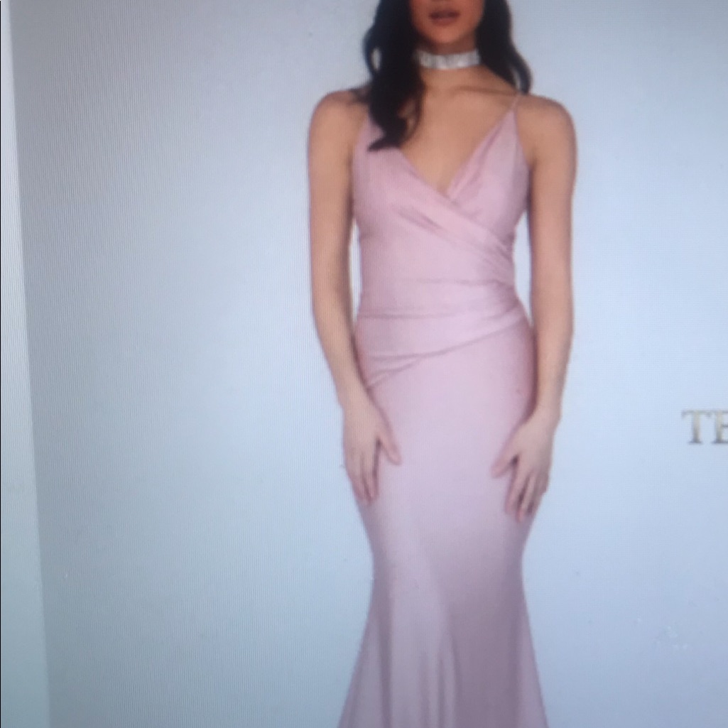 Terani Blush Prom Gown